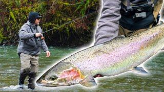 BANK FISHING For STEELHEAD, Searching For A Unicorn Fish