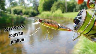 MIDSUMMER Minnow Creek Fishing ??_ DAIWA Dr MINNOW II JOINTED