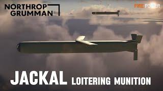 Northrop Grumman Unveiled New Details About its Jackal Loitering Munition