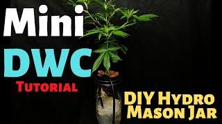 Mini Deep Water Culture In A Mason Jar (DIY DWC Hydroponics)