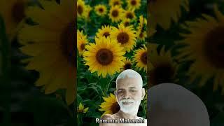 Mindful Focus: Insights from Bhagavan Sri Ramana Maharshi