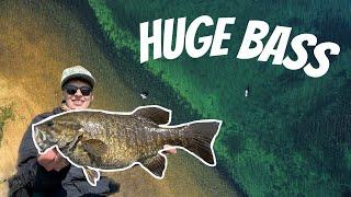 GIANT Lake Michigan Smallmouth Bass