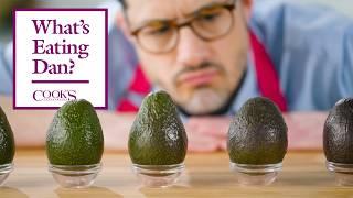 The Most Important Avocado Questions Answered | What’s Eating Dan?