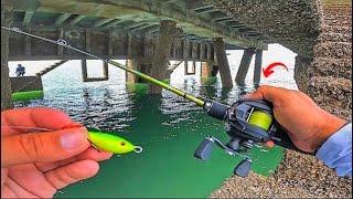 ELES ESTAVAM DEBAIXO DA PONTE!!  PEIXE MONSTRO - PESCARIA DE ROBALO FLECHA.