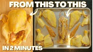 How to Butcher EVERY Type of Bird | A Beginners Guide