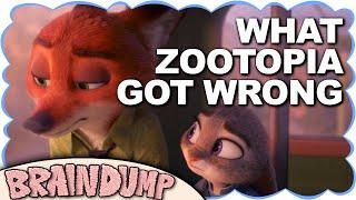 WHAT ZOOTOPIA GOT WRONG - Brain Dump