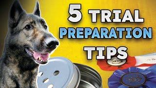 EASIEST 5 Tips to Prepare Dog and Handler for K9 Scent Work Trial