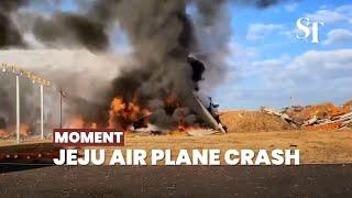 [Moment] Jeju Air plane crashes, all presumed dead except 2 rescued