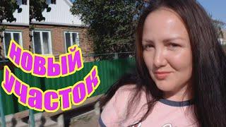 Мы купили новый участок для малины и ежевики. Как правильно выбрать?