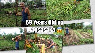 Bumili Kami ng Pantanim na Saging na Saba sa Lolong Magsasaka - Banana Shoots