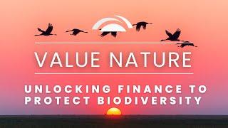 Financing a Nature-Positive Future