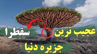 جزیره سقطرا || عجیب ترین جزیره  کره زمین