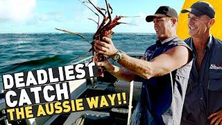  LIFE AT SEA: Australian Crayfish, Dolphins & a 400 year old shipwreck!! 