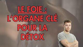 DETOX : pourquoi TOUT commence par le FOIE