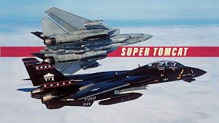 The Lost Potential of the Tomcat