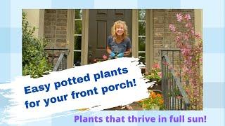 Easy potted plants to decorate your front porch (Plants that thrive in full sun)