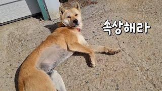 긍정적으로 생각해