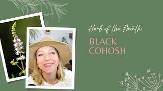 Herb of the Month: Black Cohosh