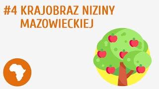 Krajobraz Niziny Mazowieckiej #4 [ Krajobraz Polski ]