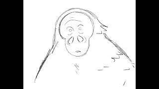 MISSING LINK Storyboard "Monster Lines"