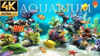 The Best 4K Aquarium for Relaxation | Relaxing Oceanscapes - Natural Underwater sounds  - no music