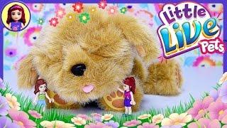 Snuggles My Dream Puppy Little Live Pets Review Silly Play Lego Friends Girls Newest Pet - Kids Toys