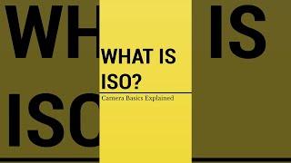 What is ISO? Camera Basics Explained #Shorts