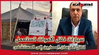 فضيحة بمهرجان عين الجوهرة سيارات نقل الأموات تُستعمل لنقل الفرسان المصابين إلى المستشفى