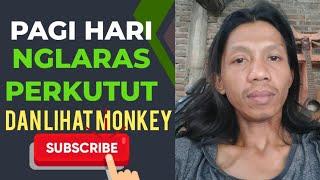 VLOG AGUNG NUR SALADIN DI PAGI HARI MENDENGARKAN SUARA PERKUTUT GACOR & LIHAT MONKEY MOLY