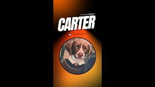 CARTER