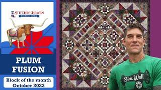 Block of the Month - Plum Fusion with Rob Appell - Starting October 2023