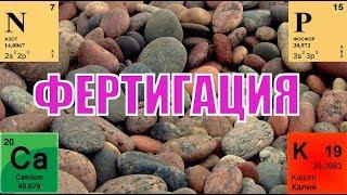 Питание малины и ежевики через капельное орошение