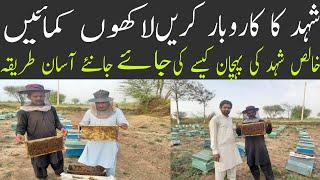 How To Start Beekeeping In 2021| Honey Bee Farming In Pakistan | How to Do Bee Farming Business