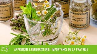 Apprendre l'herboristerie : importance de la pratique