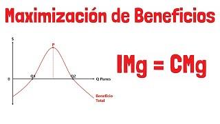 PROFIT MAXIMIZATION - Explained for beginners!