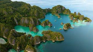 RAJA AMPAT - The Last Paradise