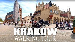  KRAKÓW 2024 Old Town Walking Tour / CRACOW 2024 Walking Tour / Poland Europe [4k Ultra HD]