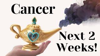 NEW * Cancer Your Next 2 Weeks WILL AMAZE YOU!  