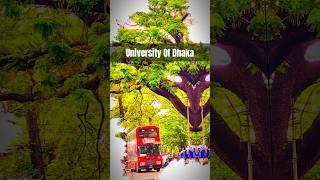 University Of Dhaka | Dhaka University Campus | Dhaka University Admission 2024 |ঢাকা বিশ্ববিদ্যালয়