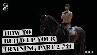 HOW TO build up YOUR TRAINING WORKING PHASE Part 2-3 | Dressage Tutorial | Begijnhoeve | How To #21