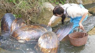  Young Girl Digs Up Mysterious River Clam, Uncovers a Stash of Shimmering Pearls and Jewels