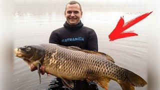 Common Pike Perch and Perch Three Spearfishing and Three Big Fish