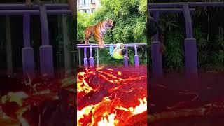 Tiger Attack Mode3D Special Effects | 3D Animation #shorts #vfxhd