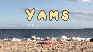 Jupie - Yams (Official Video)