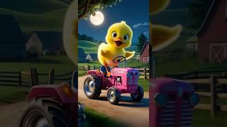 Baby Duckon Tractor #explore #duck #duckling #ducktales #duckrescue #duckadventures #baby #fy