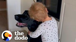 5 Reasons Dogs LOVE Their Little Humans | The Dodo