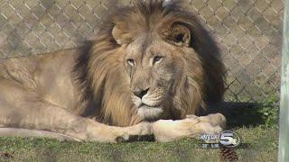 Alabama Gulf Coast Zoo Bundles Up for Bitter Cold