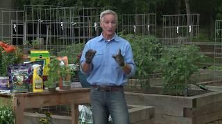 Tomato Gardening with Joe Lamp'l for Garden Therapy