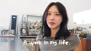 [VLOG] DAILY VLOG | JEJU ISLAND SELF-EMPLOYED'S WEEK | CAFE WORK LOOK | UNBOXING | RUNNING |