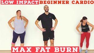 Fat burning Beginner LOW IMPACT home cardio workout - all standing!